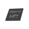 BGM11S12F256GA-V2R Image - 1