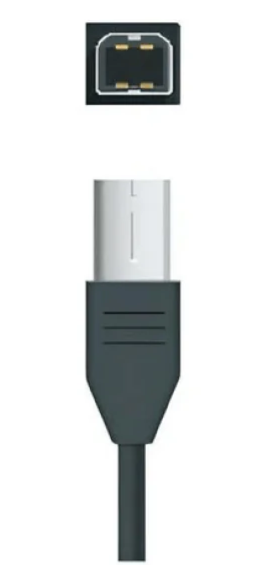 USB Type B Connector